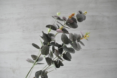 Vara eucalipto gris con flores