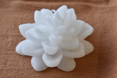 Velas flotantes en internet
