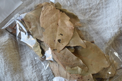 Hojas de laurel (sahumo)