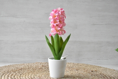Jacinto artificial