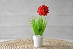 Narciso artificial - comprar online