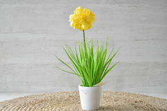 Narciso artificial