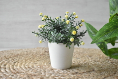 Maceta con flores amarillas