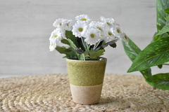 Maceta con flores blancas