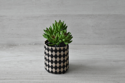 Plantita en canasto de tela