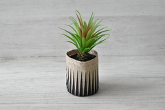 Plantita en canasto de tela