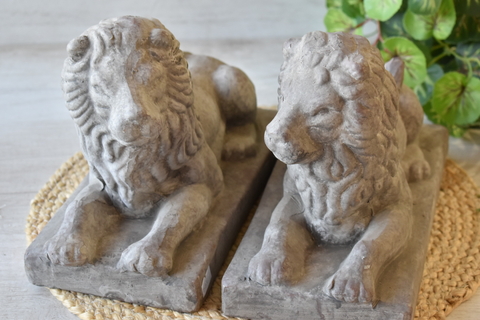 Leones Guardianes entrada