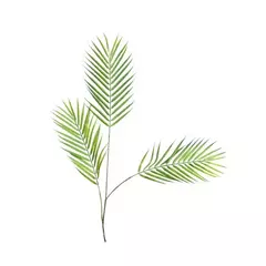 RAMA PALMERA 40CM y 95CM - tienda online