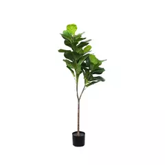 Pandurata - OUTLET DECO