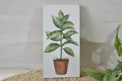 Cuadro para colgar plantas - (dos tamaños) - OUTLET DECO