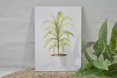 Cuadro para colgar plantas - (dos tamaños) en internet