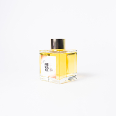 DIFUSOR DE AMBIENTES 100 ML