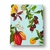 Caderno Criativo Argolado Frutos Abacaxi Pautado (17X24cm) - Cicero na internet