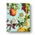 Caderno Criativo Argolado Frutos Abacaxi Pautado (17X24cm) - Cicero
