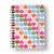 Caderno Espiral Melissa Pautado A5 Corações - Cicero