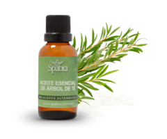 ACEITE ESENCIAL ARBOL DEL TE