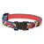 Collar para Perro con Broche LOLLIPOP