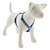 Arnés ROMANO para Perro SEA GLASS - comprar en línea