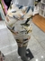 CICLISTA LYCRA ESTAMPADO SA - tienda online