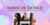 Imagem do banner rotativo Afro Patty