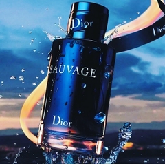 Sauvage Eau de Toilette na internet