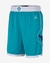 Bermuda Charlotte Hornets Icon Edition