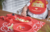 Prato Divertido de Silicone - Marcus e Marcus - comprar online