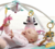 Tapete de Atividades Ginásio Gymini Dynamic, Meadow Days - Tiny Love - loja online