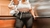 Cinto Plus Size Fivela Encapada Marília Mendonça - comprar online