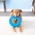 Nerf Pet Pneu de Borracha Frisbee para cães - comprar online
