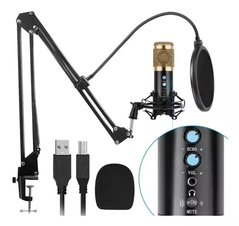 KIT DE MICROFONO PROFESIONAL CON SOPORTE BM-858TZ