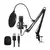 KIT DE MICROFONO PROFESIONAL CON SOPORTE BM-858TZ - comprar online