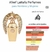 LATTAFA AFEEF 100ml