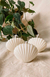 Vela Shell - comprar online