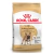 Royal Canin Bulldog Frances Adulto , 7,5 kg