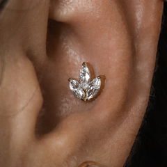 Perfuração de Conch