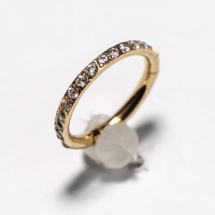 Argola Slim Cravejada com Zircônias Brancas Titânio Gold 8m