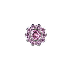 Flor 10 Pétalas G