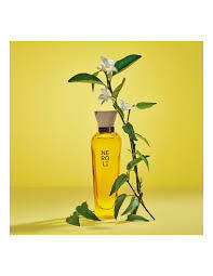 ADOLFO DOMINGUEZ NEROLI EDT 120 ML
