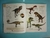 ENCICLOPEDIA ILUSTRADA DE LOS DINOSAURIOS - tienda online