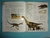 ENCICLOPEDIA ILUSTRADA DE LOS DINOSAURIOS
