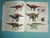ENCICLOPEDIA ILUSTRADA DE LOS DINOSAURIOS - Libros Mr Book
