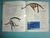 ENCICLOPEDIA ILUSTRADA DE LOS DINOSAURIOS
