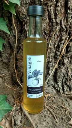 Vinagre de manzanas vivo - comprar online