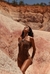 Body Animale - loja online