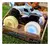 Monster Jam Megalodon 1:43 Glowing Wheels en internet