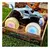 Monster Jam Megalodon 1:43 Glowing Wheels - tienda online