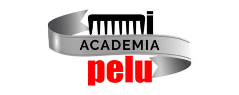 Academia Mi Pelu