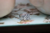 Anillo Escudo de Armas