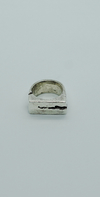 Anillo Sismo